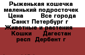 Рыженькая кошечка маленький подросточек › Цена ­ 10 - Все города, Санкт-Петербург г. Животные и растения » Кошки   . Дагестан респ.,Дербент г.